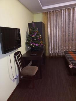 Шикарная 2к квартира Центральный парк Университет 70м, Irpiň (fotografie 3)