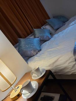 301号N＋ホテル, Tokyo (photo 3)