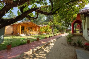 Rockit Cafe & Stay Palolem, Palolem (fotografie 4)