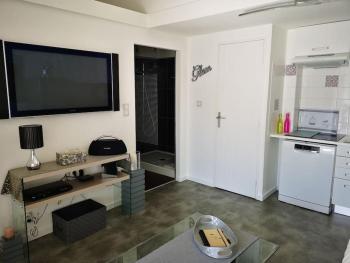 Appart 431, port Soleil au village naturiste, Cap d'Agde (foto 5)