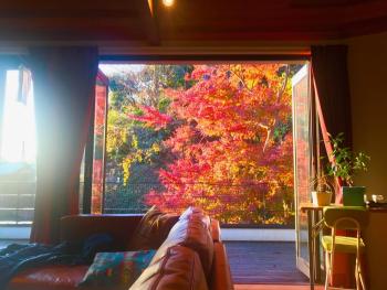 極楽寺邸 - Gokurakuji House, Kamakura (foto 3)