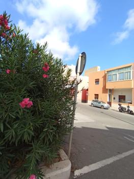 Da Gianni, Pantelleria (photo 2)