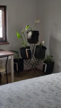 Будинок біля лісу, Skhidnitsa (photo 3)