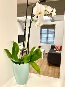 Strasbourg magnifique appartement centre ville Petite France, Štrasburk (fotografie 2)