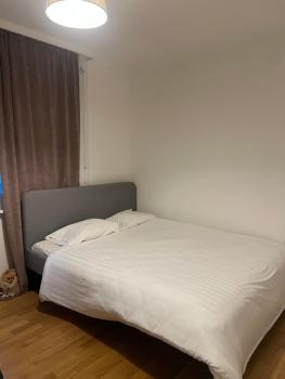L’appartement du père Noël, Женева (фото 5)