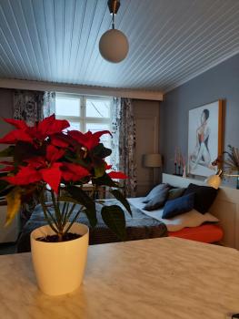Studio in Kallio, Helsinki (photo 4)