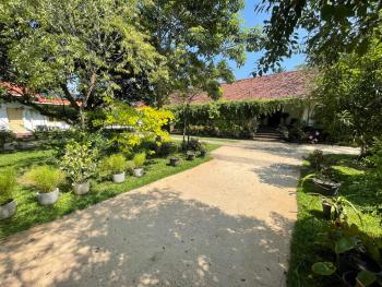 No.53, Katunayaka (fotografie 3)