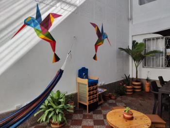 Absolute Hotel & Hostel Boutique, Medellín (Foto 2)