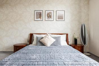 Nice big apartment 2bds - Belgicka, Praha (fotografie 5)