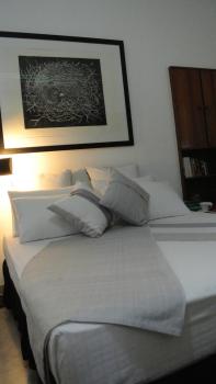 27 Spathodea- Oasis in the City, Kolombo (fotografie 4)