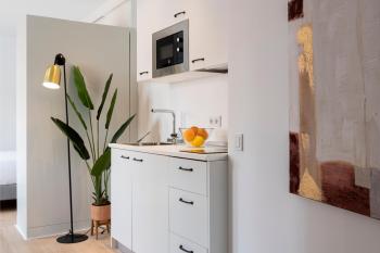 Suites Maestranza Santas Patronas - Penthouse with jacuzzi and parking, Séville (photo 4)