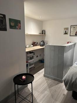 Pet-Friendly Open Plan Cabin in Dublin Sleeps 2, Dublin (zdjęcie 2)