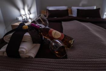 Smestaj & Spa Protić, Šabac (foto 4)