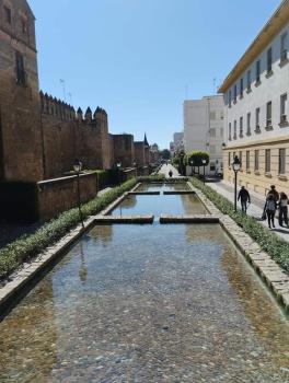 PATIO DE LA MURALLA APARTAMENTOS, Córdoba (fotografie 5)