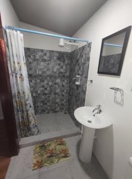 House in the palm forest, Carrillo (photo 2)