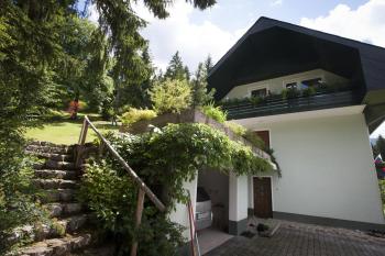 Book your Stay and an Amazing views on Alps, Bohinj (photo 4)