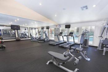 Weekend in Vegas - One Bedroom Apartment Next to Sphere!, Las Vegas (foto 5)