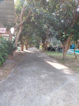 U53/37, Ko Samui (photo 4)