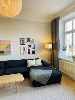 Trendy and light 2 room apartment in SoFo, 65sqm, Estocolmo (foto 4)