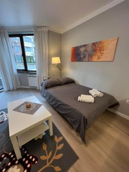 Boston Cozy Elegant Family Apt w Parking Near NSA, Sofia (photo 3)