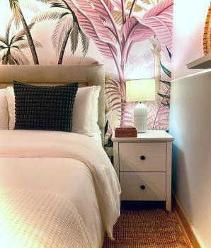 Blush Jungle - Homestay, Dublin (fotografie 3)