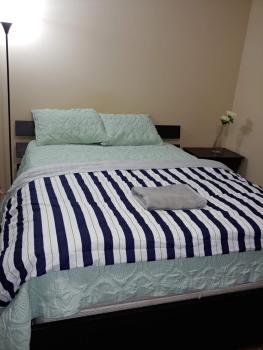 Room with private bath across train station, Burlington (photo 3)
