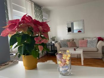 Apartment in the city center, Varaždin (foto 4)