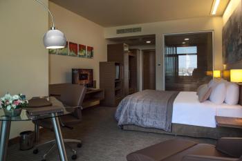 Gorrion Hotel Istanbul, Istanbul (fotografie 5)