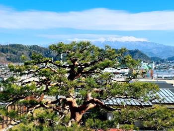 吉祥莊位于高山市内 有一千平方的园林 可远眺日本的阿尔卑斯山脉 四季景色绝佳 可接待9人入住 免费停车, Takayama (foto 5)