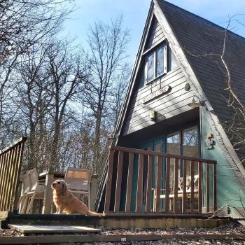 Woodpecker - bungalow 29, Durbuy (foto 4)