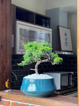 金門悠哉悠古厝民宿 Yozaiyo39 B&B, Jinning (foto 4)