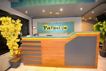 Palmiye Suite Hotel Bakirkoy City Center, Istanbul (photo 2)