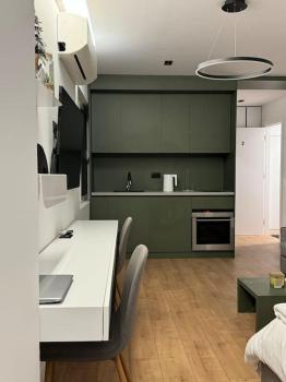 Boutique Flat in the City Center, Tirana (photo 3)