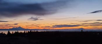Bluff Hideaway - Guest House, Homer (foto 5)