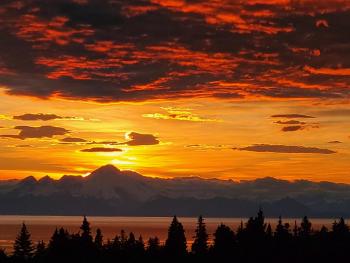 Bluff Hideaway - Guest House, Homer (foto 3)