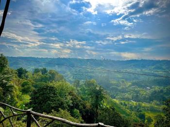 Rustic Cabin in Salento, Salento (foto 4)