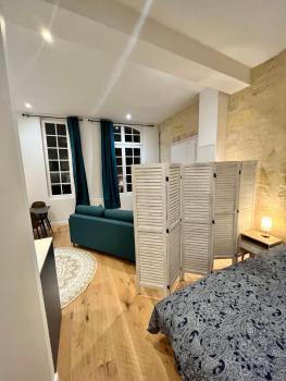 Grand studio Loft Vieux Bordeaux, Bordeaux (Foto 3)