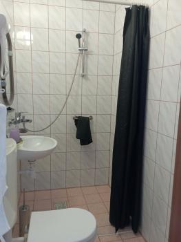 شقة مطلة على الجبل Apartament 3 POKOJOWY Aneks KUCHENNY 3 łazienki pobyt na termach dla 2os, gratis, Zakopane (photo 4)