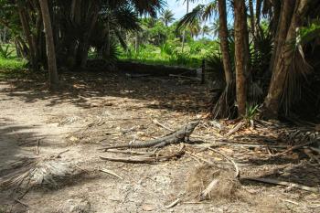 Viva 107-108, Tulum (fotografie 4)
