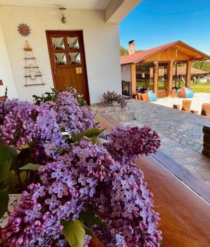 Casa Andreas, Zărneşti (Foto 3)