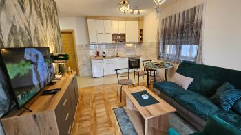 Apartman 01, Zlatibor (fotografie 3)
