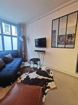 Joli T2 de 37M2 Style Loft Prox Gare Métro, Lyon (fotografie 3)
