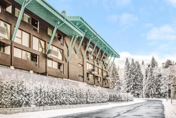 Silver Mountain, Duplex 3 camere - 250 mp luxury garden - Poiana Brasov, Brasov (foto 4)
