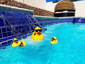 Amazing heated pool and private Hot tub 3br in heart of LV, Las Vegas (photo 2)