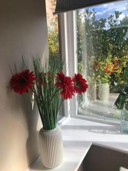 Charming Pheonix Parkside Flat, Dublin (zdjęcie 2)