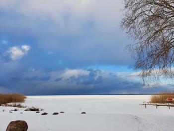 pokoje Smołdziński Las 