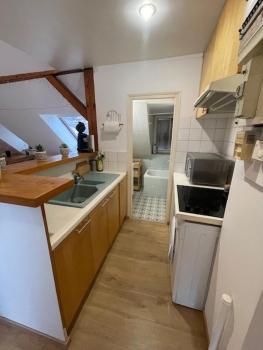 P55 LOCATION MOBILITÉ Contrat 1 MOIS MINIMUM 3 pièces lumineux, Strasbourg (photo 3)
