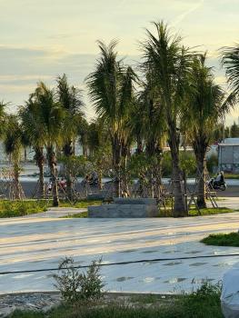Sun Moon - Biển Thương Chánh, Phan Thiet (foto 4)