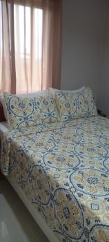 Lorraine Suites, Borongan (photo 3)