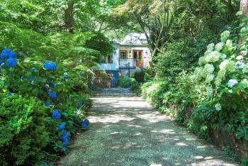 Winter Rose - gorgeous gardens sleeps 5, Olinda (fotografie 2)